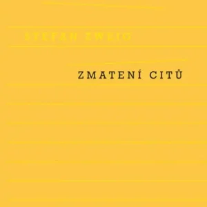 Zmatení citů