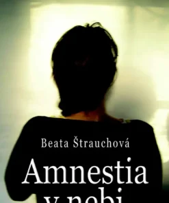 Amnestia v nebi