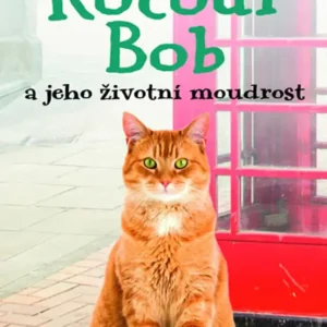 Kocour Bob a jeho životní moudrost