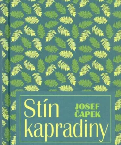 Stín kapradiny