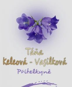Přítelkyně