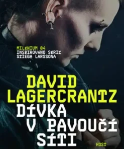 Dívka v pavoučí síti