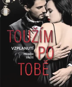 Toužím po tobě