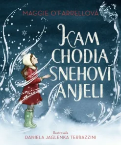 Kam chodia snehoví anjeli
