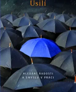 Úsilí - Hledání radosti a smyslu v práci