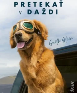 Umenie pretekať v daždi