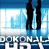Dokonalá hra Manažment podľa princípov©