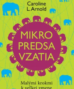 Mikropredsavzatia