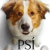 Psí cesta