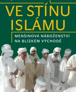 Ve stínu islámu
