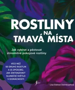 Rostliny na tmavá místa
