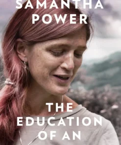 The education of an idealist