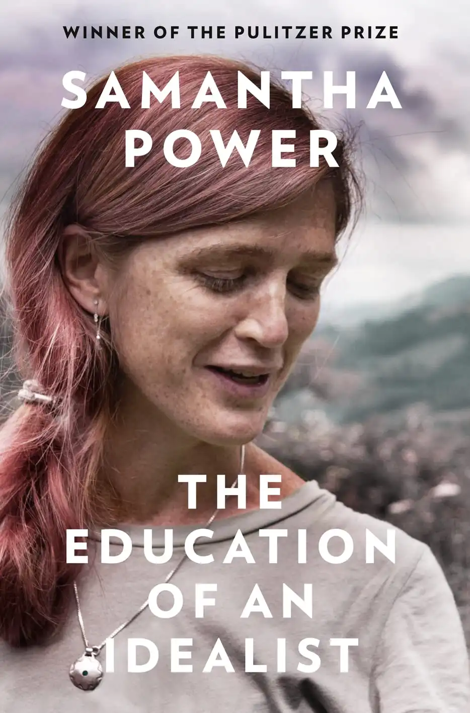 The education of an idealist