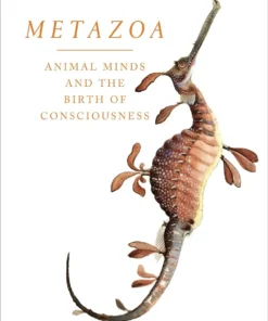 Metazoa