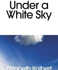 Under a White Sky
