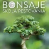 Bonsaje - škola pestovania