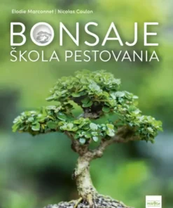 Bonsaje - škola pestovania