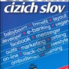 Slovník cizích slov