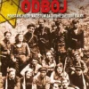 Židovský odboj