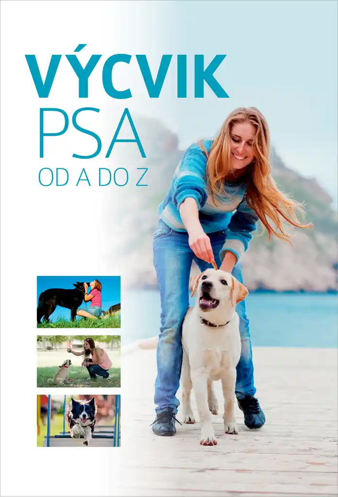 Výcvik psa od a do z