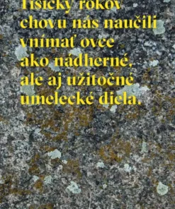 Pohľad pastiera
