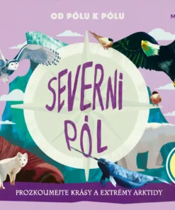 Severní pól, Jižní pól