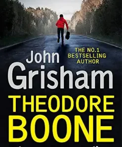 Theodore Boone: The Accomplice