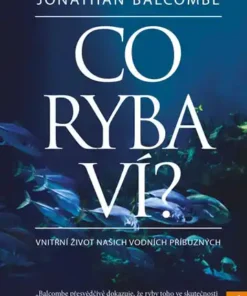 Co ryba ví?