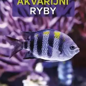 Akvarijní ryby