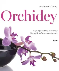Orchidey