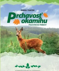 Prchavosť okamihu