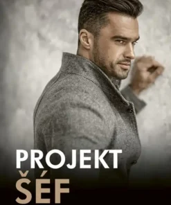 Projekt šéf