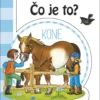 Čo je to? Kone