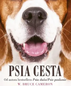Psia cesta
