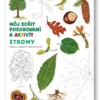 Môj zošit pozorovania a aktivít Stromy