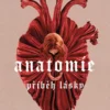 Anatomie