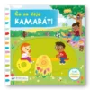 Čo sa deje - Kamaráti