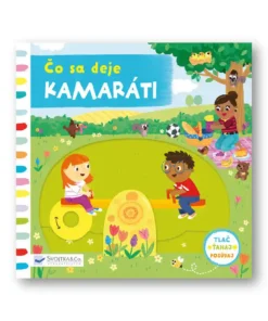Čo sa deje - Kamaráti