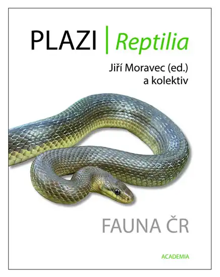 Plazi / Reptilia