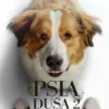 Psia duša 2: Psia cesta