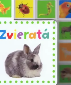 Zvieratá