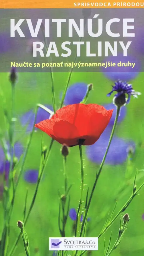 Kvitnúce rastliny