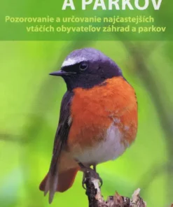 Vtáky záhrad a parkov