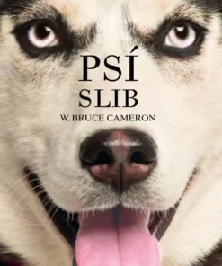 Psí slib