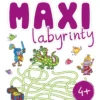 Maxi labyrinty