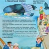 Velryba a pruhované tričko