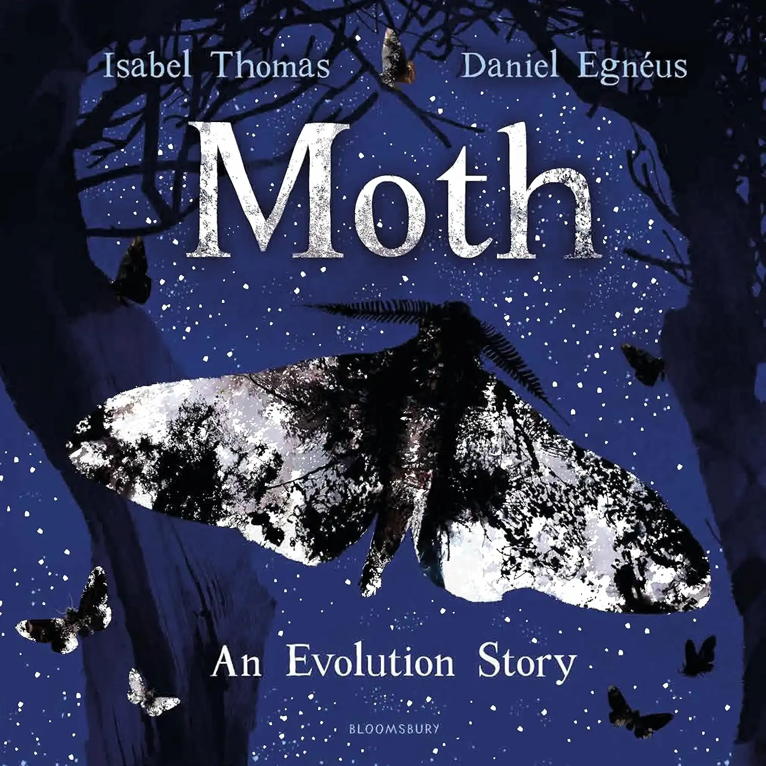 Moth
