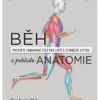 Běh z pohledu anatomie