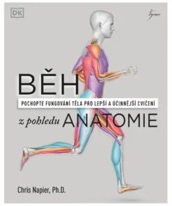 Běh z pohledu anatomie