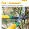 Řez a tvarování